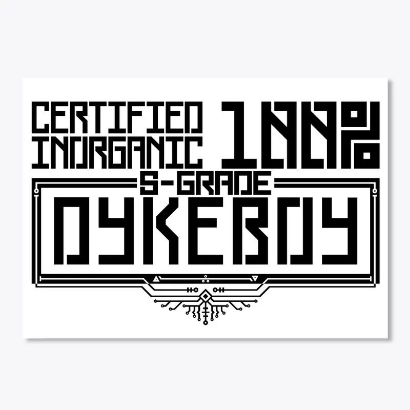 DYKEBOY CERTIFICATION PROGRAM